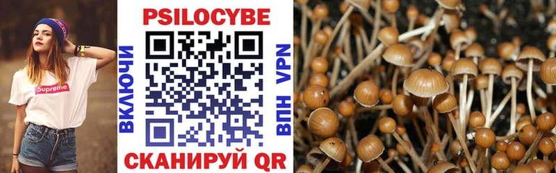 Псилоцибиновые грибы Psilocybe  Подольск 